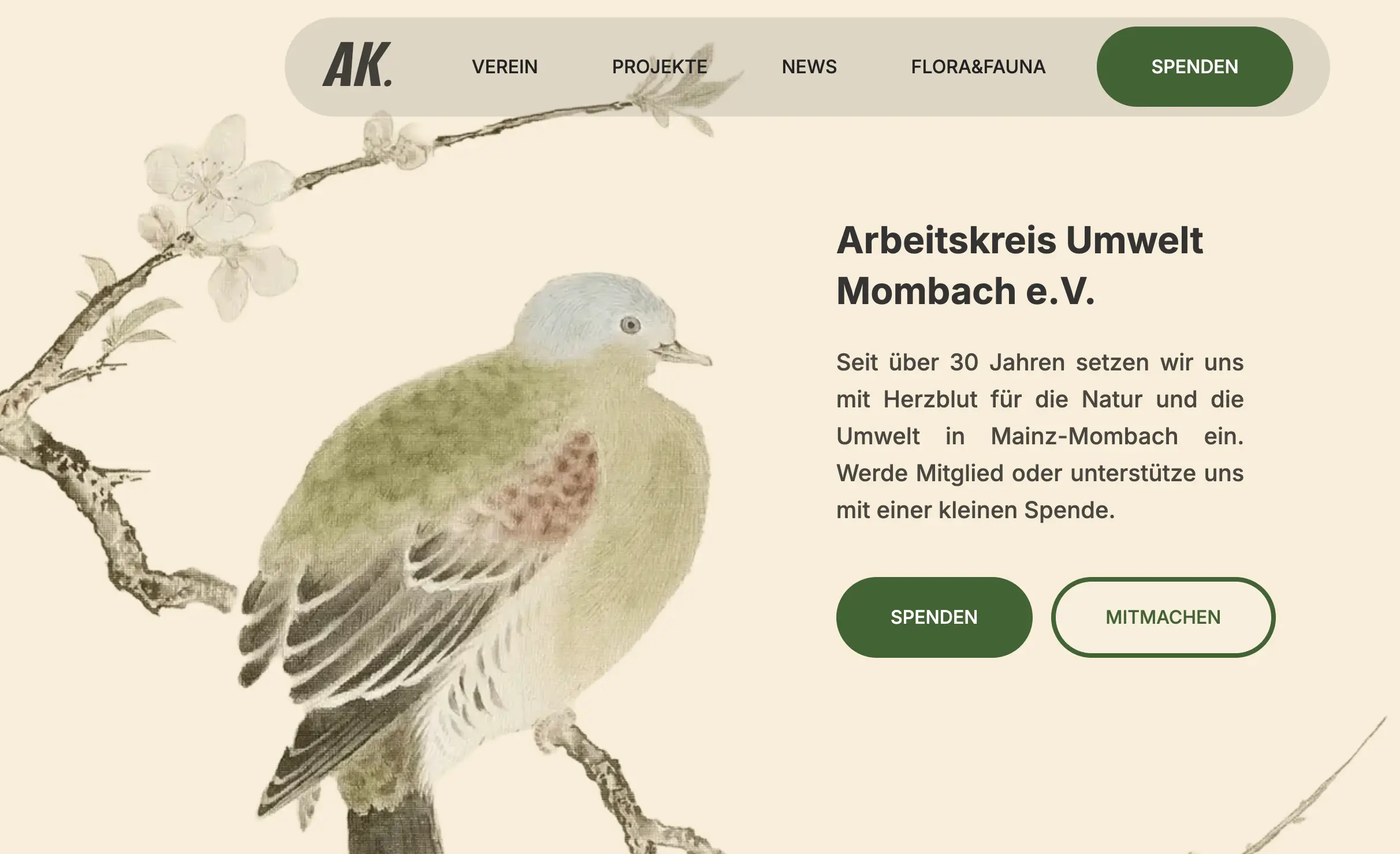 Ak Umwelt Hautseite Screendesign